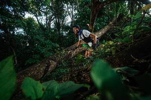 BIB: 
                            <button type="button" onclick="openModal(22777323)" class="btn btn-primary btn-sm float-right btn-popup" data-toggle="modal" data-target=".modal-high-quality">
                        <i class="fas fa-shopping-cart"></i> Add to Cart
                    </button>
                                            <button type="button" onclick="isThisMe(22777323, true)" class="btn btn-success btn-sm float-right btn-popup btn-isme hidden" data-toggle="tooltip" data-placement="bottom" title="นี่คือรูปของคุณใช่ไหม คลิกที่นี่เพื่อเอาเข้าอัลบั้ม">
                        <i class="fas fa-plus"></i> Add to album
                    </button>
                    <button type="button" onclick="isThisMe(22777323, false)" class="btn btn-warning btn-sm float-right btn-popup btn-isnotme hidden">
                        <i class="fas fa-ban"></i> Remove from album
                    </button>