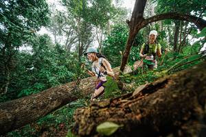 BIB: 
                            <button type="button" onclick="openModal(22778920)" class="btn btn-primary btn-sm float-right btn-popup" data-toggle="modal" data-target=".modal-high-quality">
                        <i class="fas fa-shopping-cart"></i> Add to Cart
                    </button>
                                            <button type="button" onclick="isThisMe(22778920, true)" class="btn btn-success btn-sm float-right btn-popup btn-isme hidden" data-toggle="tooltip" data-placement="bottom" title="นี่คือรูปของคุณใช่ไหม คลิกที่นี่เพื่อเอาเข้าอัลบั้ม">
                        <i class="fas fa-plus"></i> Add to album
                    </button>
                    <button type="button" onclick="isThisMe(22778920, false)" class="btn btn-warning btn-sm float-right btn-popup btn-isnotme hidden">
                        <i class="fas fa-ban"></i> Remove from album
                    </button>