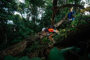 BIB: 
                            <button type="button" onclick="openModal(22777352)" class="btn btn-primary btn-sm float-right btn-popup" data-toggle="modal" data-target=".modal-high-quality">
                        <i class="fas fa-shopping-cart"></i> Add to Cart
                    </button>
                                            <button type="button" onclick="isThisMe(22777352, true)" class="btn btn-success btn-sm float-right btn-popup btn-isme hidden" data-toggle="tooltip" data-placement="bottom" title="นี่คือรูปของคุณใช่ไหม คลิกที่นี่เพื่อเอาเข้าอัลบั้ม">
                        <i class="fas fa-plus"></i> Add to album
                    </button>
                    <button type="button" onclick="isThisMe(22777352, false)" class="btn btn-warning btn-sm float-right btn-popup btn-isnotme hidden">
                        <i class="fas fa-ban"></i> Remove from album
                    </button>