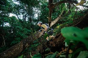 BIB: 
                            <button type="button" onclick="openModal(22777439)" class="btn btn-primary btn-sm float-right btn-popup" data-toggle="modal" data-target=".modal-high-quality">
                        <i class="fas fa-shopping-cart"></i> Add to Cart
                    </button>
                                            <button type="button" onclick="isThisMe(22777439, true)" class="btn btn-success btn-sm float-right btn-popup btn-isme hidden" data-toggle="tooltip" data-placement="bottom" title="นี่คือรูปของคุณใช่ไหม คลิกที่นี่เพื่อเอาเข้าอัลบั้ม">
                        <i class="fas fa-plus"></i> Add to album
                    </button>
                    <button type="button" onclick="isThisMe(22777439, false)" class="btn btn-warning btn-sm float-right btn-popup btn-isnotme hidden">
                        <i class="fas fa-ban"></i> Remove from album
                    </button>