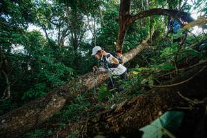 BIB: 
                            <button type="button" onclick="openModal(22777428)" class="btn btn-primary btn-sm float-right btn-popup" data-toggle="modal" data-target=".modal-high-quality">
                        <i class="fas fa-shopping-cart"></i> Add to Cart
                    </button>
                                            <button type="button" onclick="isThisMe(22777428, true)" class="btn btn-success btn-sm float-right btn-popup btn-isme hidden" data-toggle="tooltip" data-placement="bottom" title="นี่คือรูปของคุณใช่ไหม คลิกที่นี่เพื่อเอาเข้าอัลบั้ม">
                        <i class="fas fa-plus"></i> Add to album
                    </button>
                    <button type="button" onclick="isThisMe(22777428, false)" class="btn btn-warning btn-sm float-right btn-popup btn-isnotme hidden">
                        <i class="fas fa-ban"></i> Remove from album
                    </button>