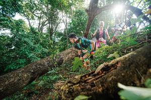 BIB: 
                            <button type="button" onclick="openModal(22777962)" class="btn btn-primary btn-sm float-right btn-popup" data-toggle="modal" data-target=".modal-high-quality">
                        <i class="fas fa-shopping-cart"></i> Add to Cart
                    </button>
                                            <button type="button" onclick="isThisMe(22777962, true)" class="btn btn-success btn-sm float-right btn-popup btn-isme hidden" data-toggle="tooltip" data-placement="bottom" title="นี่คือรูปของคุณใช่ไหม คลิกที่นี่เพื่อเอาเข้าอัลบั้ม">
                        <i class="fas fa-plus"></i> Add to album
                    </button>
                    <button type="button" onclick="isThisMe(22777962, false)" class="btn btn-warning btn-sm float-right btn-popup btn-isnotme hidden">
                        <i class="fas fa-ban"></i> Remove from album
                    </button>