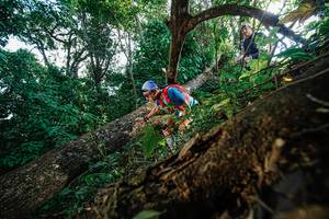 BIB: 
                            <button type="button" onclick="openModal(22778379)" class="btn btn-primary btn-sm float-right btn-popup" data-toggle="modal" data-target=".modal-high-quality">
                        <i class="fas fa-shopping-cart"></i> Add to Cart
                    </button>
                                            <button type="button" onclick="isThisMe(22778379, true)" class="btn btn-success btn-sm float-right btn-popup btn-isme hidden" data-toggle="tooltip" data-placement="bottom" title="นี่คือรูปของคุณใช่ไหม คลิกที่นี่เพื่อเอาเข้าอัลบั้ม">
                        <i class="fas fa-plus"></i> Add to album
                    </button>
                    <button type="button" onclick="isThisMe(22778379, false)" class="btn btn-warning btn-sm float-right btn-popup btn-isnotme hidden">
                        <i class="fas fa-ban"></i> Remove from album
                    </button>