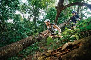 BIB: 
                            <button type="button" onclick="openModal(22778055)" class="btn btn-primary btn-sm float-right btn-popup" data-toggle="modal" data-target=".modal-high-quality">
                        <i class="fas fa-shopping-cart"></i> Add to Cart
                    </button>
                                            <button type="button" onclick="isThisMe(22778055, true)" class="btn btn-success btn-sm float-right btn-popup btn-isme hidden" data-toggle="tooltip" data-placement="bottom" title="นี่คือรูปของคุณใช่ไหม คลิกที่นี่เพื่อเอาเข้าอัลบั้ม">
                        <i class="fas fa-plus"></i> Add to album
                    </button>
                    <button type="button" onclick="isThisMe(22778055, false)" class="btn btn-warning btn-sm float-right btn-popup btn-isnotme hidden">
                        <i class="fas fa-ban"></i> Remove from album
                    </button>