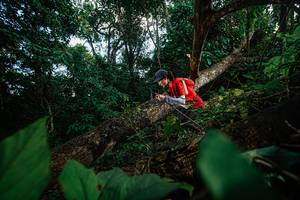 BIB: 
                            <button type="button" onclick="openModal(22777377)" class="btn btn-primary btn-sm float-right btn-popup" data-toggle="modal" data-target=".modal-high-quality">
                        <i class="fas fa-shopping-cart"></i> Add to Cart
                    </button>
                                            <button type="button" onclick="isThisMe(22777377, true)" class="btn btn-success btn-sm float-right btn-popup btn-isme hidden" data-toggle="tooltip" data-placement="bottom" title="นี่คือรูปของคุณใช่ไหม คลิกที่นี่เพื่อเอาเข้าอัลบั้ม">
                        <i class="fas fa-plus"></i> Add to album
                    </button>
                    <button type="button" onclick="isThisMe(22777377, false)" class="btn btn-warning btn-sm float-right btn-popup btn-isnotme hidden">
                        <i class="fas fa-ban"></i> Remove from album
                    </button>