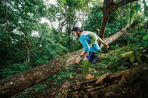 BIB: 
                            <button type="button" onclick="openModal(22778487)" class="btn btn-primary btn-sm float-right btn-popup" data-toggle="modal" data-target=".modal-high-quality">
                        <i class="fas fa-shopping-cart"></i> Add to Cart
                    </button>
                                            <button type="button" onclick="isThisMe(22778487, true)" class="btn btn-success btn-sm float-right btn-popup btn-isme hidden" data-toggle="tooltip" data-placement="bottom" title="นี่คือรูปของคุณใช่ไหม คลิกที่นี่เพื่อเอาเข้าอัลบั้ม">
                        <i class="fas fa-plus"></i> Add to album
                    </button>
                    <button type="button" onclick="isThisMe(22778487, false)" class="btn btn-warning btn-sm float-right btn-popup btn-isnotme hidden">
                        <i class="fas fa-ban"></i> Remove from album
                    </button>