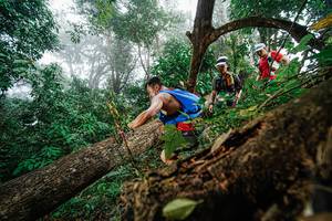 BIB: 
                            <button type="button" onclick="openModal(22778883)" class="btn btn-primary btn-sm float-right btn-popup" data-toggle="modal" data-target=".modal-high-quality">
                        <i class="fas fa-shopping-cart"></i> Add to Cart
                    </button>
                                            <button type="button" onclick="isThisMe(22778883, true)" class="btn btn-success btn-sm float-right btn-popup btn-isme hidden" data-toggle="tooltip" data-placement="bottom" title="นี่คือรูปของคุณใช่ไหม คลิกที่นี่เพื่อเอาเข้าอัลบั้ม">
                        <i class="fas fa-plus"></i> Add to album
                    </button>
                    <button type="button" onclick="isThisMe(22778883, false)" class="btn btn-warning btn-sm float-right btn-popup btn-isnotme hidden">
                        <i class="fas fa-ban"></i> Remove from album
                    </button>