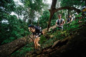 BIB: 
                            <button type="button" onclick="openModal(22778768)" class="btn btn-primary btn-sm float-right btn-popup" data-toggle="modal" data-target=".modal-high-quality">
                        <i class="fas fa-shopping-cart"></i> Add to Cart
                    </button>
                                            <button type="button" onclick="isThisMe(22778768, true)" class="btn btn-success btn-sm float-right btn-popup btn-isme hidden" data-toggle="tooltip" data-placement="bottom" title="นี่คือรูปของคุณใช่ไหม คลิกที่นี่เพื่อเอาเข้าอัลบั้ม">
                        <i class="fas fa-plus"></i> Add to album
                    </button>
                    <button type="button" onclick="isThisMe(22778768, false)" class="btn btn-warning btn-sm float-right btn-popup btn-isnotme hidden">
                        <i class="fas fa-ban"></i> Remove from album
                    </button>