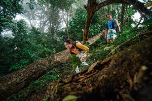 BIB: 
                            <button type="button" onclick="openModal(22779168)" class="btn btn-primary btn-sm float-right btn-popup" data-toggle="modal" data-target=".modal-high-quality">
                        <i class="fas fa-shopping-cart"></i> Add to Cart
                    </button>
                                            <button type="button" onclick="isThisMe(22779168, true)" class="btn btn-success btn-sm float-right btn-popup btn-isme hidden" data-toggle="tooltip" data-placement="bottom" title="นี่คือรูปของคุณใช่ไหม คลิกที่นี่เพื่อเอาเข้าอัลบั้ม">
                        <i class="fas fa-plus"></i> Add to album
                    </button>
                    <button type="button" onclick="isThisMe(22779168, false)" class="btn btn-warning btn-sm float-right btn-popup btn-isnotme hidden">
                        <i class="fas fa-ban"></i> Remove from album
                    </button>