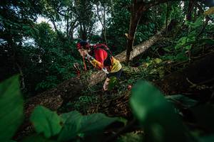 BIB: 
                            <button type="button" onclick="openModal(22777333)" class="btn btn-primary btn-sm float-right btn-popup" data-toggle="modal" data-target=".modal-high-quality">
                        <i class="fas fa-shopping-cart"></i> Add to Cart
                    </button>
                                            <button type="button" onclick="isThisMe(22777333, true)" class="btn btn-success btn-sm float-right btn-popup btn-isme hidden" data-toggle="tooltip" data-placement="bottom" title="นี่คือรูปของคุณใช่ไหม คลิกที่นี่เพื่อเอาเข้าอัลบั้ม">
                        <i class="fas fa-plus"></i> Add to album
                    </button>
                    <button type="button" onclick="isThisMe(22777333, false)" class="btn btn-warning btn-sm float-right btn-popup btn-isnotme hidden">
                        <i class="fas fa-ban"></i> Remove from album
                    </button>