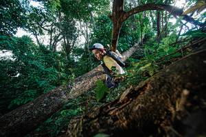 BIB: 
                            <button type="button" onclick="openModal(22778377)" class="btn btn-primary btn-sm float-right btn-popup" data-toggle="modal" data-target=".modal-high-quality">
                        <i class="fas fa-shopping-cart"></i> Add to Cart
                    </button>
                                            <button type="button" onclick="isThisMe(22778377, true)" class="btn btn-success btn-sm float-right btn-popup btn-isme hidden" data-toggle="tooltip" data-placement="bottom" title="นี่คือรูปของคุณใช่ไหม คลิกที่นี่เพื่อเอาเข้าอัลบั้ม">
                        <i class="fas fa-plus"></i> Add to album
                    </button>
                    <button type="button" onclick="isThisMe(22778377, false)" class="btn btn-warning btn-sm float-right btn-popup btn-isnotme hidden">
                        <i class="fas fa-ban"></i> Remove from album
                    </button>