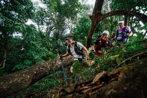 BIB: 
                            <button type="button" onclick="openModal(22778772)" class="btn btn-primary btn-sm float-right btn-popup" data-toggle="modal" data-target=".modal-high-quality">
                        <i class="fas fa-shopping-cart"></i> Add to Cart
                    </button>
                                            <button type="button" onclick="isThisMe(22778772, true)" class="btn btn-success btn-sm float-right btn-popup btn-isme hidden" data-toggle="tooltip" data-placement="bottom" title="นี่คือรูปของคุณใช่ไหม คลิกที่นี่เพื่อเอาเข้าอัลบั้ม">
                        <i class="fas fa-plus"></i> Add to album
                    </button>
                    <button type="button" onclick="isThisMe(22778772, false)" class="btn btn-warning btn-sm float-right btn-popup btn-isnotme hidden">
                        <i class="fas fa-ban"></i> Remove from album
                    </button>