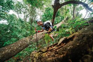 BIB: 
                            <button type="button" onclick="openModal(22779259)" class="btn btn-primary btn-sm float-right btn-popup" data-toggle="modal" data-target=".modal-high-quality">
                        <i class="fas fa-shopping-cart"></i> Add to Cart
                    </button>
                                            <button type="button" onclick="isThisMe(22779259, true)" class="btn btn-success btn-sm float-right btn-popup btn-isme hidden" data-toggle="tooltip" data-placement="bottom" title="นี่คือรูปของคุณใช่ไหม คลิกที่นี่เพื่อเอาเข้าอัลบั้ม">
                        <i class="fas fa-plus"></i> Add to album
                    </button>
                    <button type="button" onclick="isThisMe(22779259, false)" class="btn btn-warning btn-sm float-right btn-popup btn-isnotme hidden">
                        <i class="fas fa-ban"></i> Remove from album
                    </button>