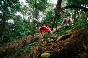 BIB: 
                            <button type="button" onclick="openModal(22778940)" class="btn btn-primary btn-sm float-right btn-popup" data-toggle="modal" data-target=".modal-high-quality">
                        <i class="fas fa-shopping-cart"></i> Add to Cart
                    </button>
                                            <button type="button" onclick="isThisMe(22778940, true)" class="btn btn-success btn-sm float-right btn-popup btn-isme hidden" data-toggle="tooltip" data-placement="bottom" title="นี่คือรูปของคุณใช่ไหม คลิกที่นี่เพื่อเอาเข้าอัลบั้ม">
                        <i class="fas fa-plus"></i> Add to album
                    </button>
                    <button type="button" onclick="isThisMe(22778940, false)" class="btn btn-warning btn-sm float-right btn-popup btn-isnotme hidden">
                        <i class="fas fa-ban"></i> Remove from album
                    </button>