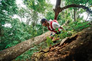 BIB: 
                            <button type="button" onclick="openModal(22779286)" class="btn btn-primary btn-sm float-right btn-popup" data-toggle="modal" data-target=".modal-high-quality">
                        <i class="fas fa-shopping-cart"></i> Add to Cart
                    </button>
                                            <button type="button" onclick="isThisMe(22779286, true)" class="btn btn-success btn-sm float-right btn-popup btn-isme hidden" data-toggle="tooltip" data-placement="bottom" title="นี่คือรูปของคุณใช่ไหม คลิกที่นี่เพื่อเอาเข้าอัลบั้ม">
                        <i class="fas fa-plus"></i> Add to album
                    </button>
                    <button type="button" onclick="isThisMe(22779286, false)" class="btn btn-warning btn-sm float-right btn-popup btn-isnotme hidden">
                        <i class="fas fa-ban"></i> Remove from album
                    </button>