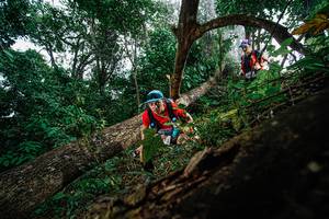 BIB: 
                            <button type="button" onclick="openModal(22778693)" class="btn btn-primary btn-sm float-right btn-popup" data-toggle="modal" data-target=".modal-high-quality">
                        <i class="fas fa-shopping-cart"></i> Add to Cart
                    </button>
                                            <button type="button" onclick="isThisMe(22778693, true)" class="btn btn-success btn-sm float-right btn-popup btn-isme hidden" data-toggle="tooltip" data-placement="bottom" title="นี่คือรูปของคุณใช่ไหม คลิกที่นี่เพื่อเอาเข้าอัลบั้ม">
                        <i class="fas fa-plus"></i> Add to album
                    </button>
                    <button type="button" onclick="isThisMe(22778693, false)" class="btn btn-warning btn-sm float-right btn-popup btn-isnotme hidden">
                        <i class="fas fa-ban"></i> Remove from album
                    </button>