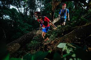 BIB: 9310
                            <button type="button" onclick="openModal(22775271)" class="btn btn-primary btn-sm float-right btn-popup" data-toggle="modal" data-target=".modal-high-quality">
                        <i class="fas fa-shopping-cart"></i> Add to Cart
                    </button>
                                            <button type="button" onclick="isThisMe(22775271, true)" class="btn btn-success btn-sm float-right btn-popup btn-isme hidden" data-toggle="tooltip" data-placement="bottom" title="นี่คือรูปของคุณใช่ไหม คลิกที่นี่เพื่อเอาเข้าอัลบั้ม">
                        <i class="fas fa-plus"></i> Add to album
                    </button>
                    <button type="button" onclick="isThisMe(22775271, false)" class="btn btn-warning btn-sm float-right btn-popup btn-isnotme hidden">
                        <i class="fas fa-ban"></i> Remove from album
                    </button>