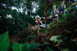 BIB: 
                            <button type="button" onclick="openModal(22777025)" class="btn btn-primary btn-sm float-right btn-popup" data-toggle="modal" data-target=".modal-high-quality">
                        <i class="fas fa-shopping-cart"></i> Add to Cart
                    </button>
                                            <button type="button" onclick="isThisMe(22777025, true)" class="btn btn-success btn-sm float-right btn-popup btn-isme hidden" data-toggle="tooltip" data-placement="bottom" title="นี่คือรูปของคุณใช่ไหม คลิกที่นี่เพื่อเอาเข้าอัลบั้ม">
                        <i class="fas fa-plus"></i> Add to album
                    </button>
                    <button type="button" onclick="isThisMe(22777025, false)" class="btn btn-warning btn-sm float-right btn-popup btn-isnotme hidden">
                        <i class="fas fa-ban"></i> Remove from album
                    </button>