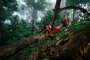 BIB: 
                            <button type="button" onclick="openModal(22778806)" class="btn btn-primary btn-sm float-right btn-popup" data-toggle="modal" data-target=".modal-high-quality">
                        <i class="fas fa-shopping-cart"></i> Add to Cart
                    </button>
                                            <button type="button" onclick="isThisMe(22778806, true)" class="btn btn-success btn-sm float-right btn-popup btn-isme hidden" data-toggle="tooltip" data-placement="bottom" title="นี่คือรูปของคุณใช่ไหม คลิกที่นี่เพื่อเอาเข้าอัลบั้ม">
                        <i class="fas fa-plus"></i> Add to album
                    </button>
                    <button type="button" onclick="isThisMe(22778806, false)" class="btn btn-warning btn-sm float-right btn-popup btn-isnotme hidden">
                        <i class="fas fa-ban"></i> Remove from album
                    </button>