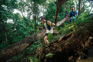 BIB: 
                            <button type="button" onclick="openModal(22778433)" class="btn btn-primary btn-sm float-right btn-popup" data-toggle="modal" data-target=".modal-high-quality">
                        <i class="fas fa-shopping-cart"></i> Add to Cart
                    </button>
                                            <button type="button" onclick="isThisMe(22778433, true)" class="btn btn-success btn-sm float-right btn-popup btn-isme hidden" data-toggle="tooltip" data-placement="bottom" title="นี่คือรูปของคุณใช่ไหม คลิกที่นี่เพื่อเอาเข้าอัลบั้ม">
                        <i class="fas fa-plus"></i> Add to album
                    </button>
                    <button type="button" onclick="isThisMe(22778433, false)" class="btn btn-warning btn-sm float-right btn-popup btn-isnotme hidden">
                        <i class="fas fa-ban"></i> Remove from album
                    </button>