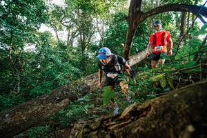 BIB: 
                            <button type="button" onclick="openModal(22778457)" class="btn btn-primary btn-sm float-right btn-popup" data-toggle="modal" data-target=".modal-high-quality">
                        <i class="fas fa-shopping-cart"></i> Add to Cart
                    </button>
                                            <button type="button" onclick="isThisMe(22778457, true)" class="btn btn-success btn-sm float-right btn-popup btn-isme hidden" data-toggle="tooltip" data-placement="bottom" title="นี่คือรูปของคุณใช่ไหม คลิกที่นี่เพื่อเอาเข้าอัลบั้ม">
                        <i class="fas fa-plus"></i> Add to album
                    </button>
                    <button type="button" onclick="isThisMe(22778457, false)" class="btn btn-warning btn-sm float-right btn-popup btn-isnotme hidden">
                        <i class="fas fa-ban"></i> Remove from album
                    </button>