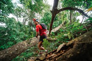 BIB: 
                            <button type="button" onclick="openModal(22779325)" class="btn btn-primary btn-sm float-right btn-popup" data-toggle="modal" data-target=".modal-high-quality">
                        <i class="fas fa-shopping-cart"></i> Add to Cart
                    </button>
                                            <button type="button" onclick="isThisMe(22779325, true)" class="btn btn-success btn-sm float-right btn-popup btn-isme hidden" data-toggle="tooltip" data-placement="bottom" title="นี่คือรูปของคุณใช่ไหม คลิกที่นี่เพื่อเอาเข้าอัลบั้ม">
                        <i class="fas fa-plus"></i> Add to album
                    </button>
                    <button type="button" onclick="isThisMe(22779325, false)" class="btn btn-warning btn-sm float-right btn-popup btn-isnotme hidden">
                        <i class="fas fa-ban"></i> Remove from album
                    </button>