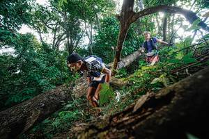 BIB: 
                            <button type="button" onclick="openModal(22778116)" class="btn btn-primary btn-sm float-right btn-popup" data-toggle="modal" data-target=".modal-high-quality">
                        <i class="fas fa-shopping-cart"></i> Add to Cart
                    </button>
                                            <button type="button" onclick="isThisMe(22778116, true)" class="btn btn-success btn-sm float-right btn-popup btn-isme hidden" data-toggle="tooltip" data-placement="bottom" title="นี่คือรูปของคุณใช่ไหม คลิกที่นี่เพื่อเอาเข้าอัลบั้ม">
                        <i class="fas fa-plus"></i> Add to album
                    </button>
                    <button type="button" onclick="isThisMe(22778116, false)" class="btn btn-warning btn-sm float-right btn-popup btn-isnotme hidden">
                        <i class="fas fa-ban"></i> Remove from album
                    </button>