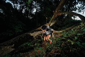 BIB: 
                            <button type="button" onclick="openModal(22774591)" class="btn btn-primary btn-sm float-right btn-popup" data-toggle="modal" data-target=".modal-high-quality">
                        <i class="fas fa-shopping-cart"></i> Add to Cart
                    </button>
                                            <button type="button" onclick="isThisMe(22774591, true)" class="btn btn-success btn-sm float-right btn-popup btn-isme hidden" data-toggle="tooltip" data-placement="bottom" title="นี่คือรูปของคุณใช่ไหม คลิกที่นี่เพื่อเอาเข้าอัลบั้ม">
                        <i class="fas fa-plus"></i> Add to album
                    </button>
                    <button type="button" onclick="isThisMe(22774591, false)" class="btn btn-warning btn-sm float-right btn-popup btn-isnotme hidden">
                        <i class="fas fa-ban"></i> Remove from album
                    </button>