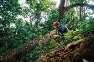 BIB: 
                            <button type="button" onclick="openModal(22778032)" class="btn btn-primary btn-sm float-right btn-popup" data-toggle="modal" data-target=".modal-high-quality">
                        <i class="fas fa-shopping-cart"></i> Add to Cart
                    </button>
                                            <button type="button" onclick="isThisMe(22778032, true)" class="btn btn-success btn-sm float-right btn-popup btn-isme hidden" data-toggle="tooltip" data-placement="bottom" title="นี่คือรูปของคุณใช่ไหม คลิกที่นี่เพื่อเอาเข้าอัลบั้ม">
                        <i class="fas fa-plus"></i> Add to album
                    </button>
                    <button type="button" onclick="isThisMe(22778032, false)" class="btn btn-warning btn-sm float-right btn-popup btn-isnotme hidden">
                        <i class="fas fa-ban"></i> Remove from album
                    </button>