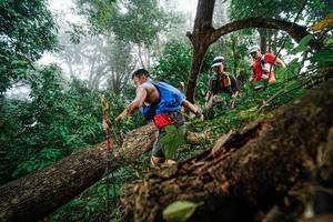 BIB: 
                            <button type="button" onclick="openModal(22778887)" class="btn btn-primary btn-sm float-right btn-popup" data-toggle="modal" data-target=".modal-high-quality">
                        <i class="fas fa-shopping-cart"></i> Add to Cart
                    </button>
                                            <button type="button" onclick="isThisMe(22778887, true)" class="btn btn-success btn-sm float-right btn-popup btn-isme hidden" data-toggle="tooltip" data-placement="bottom" title="นี่คือรูปของคุณใช่ไหม คลิกที่นี่เพื่อเอาเข้าอัลบั้ม">
                        <i class="fas fa-plus"></i> Add to album
                    </button>
                    <button type="button" onclick="isThisMe(22778887, false)" class="btn btn-warning btn-sm float-right btn-popup btn-isnotme hidden">
                        <i class="fas fa-ban"></i> Remove from album
                    </button>