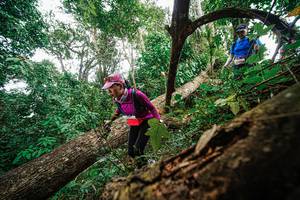 BIB: 
                            <button type="button" onclick="openModal(22779305)" class="btn btn-primary btn-sm float-right btn-popup" data-toggle="modal" data-target=".modal-high-quality">
                        <i class="fas fa-shopping-cart"></i> Add to Cart
                    </button>
                                            <button type="button" onclick="isThisMe(22779305, true)" class="btn btn-success btn-sm float-right btn-popup btn-isme hidden" data-toggle="tooltip" data-placement="bottom" title="นี่คือรูปของคุณใช่ไหม คลิกที่นี่เพื่อเอาเข้าอัลบั้ม">
                        <i class="fas fa-plus"></i> Add to album
                    </button>
                    <button type="button" onclick="isThisMe(22779305, false)" class="btn btn-warning btn-sm float-right btn-popup btn-isnotme hidden">
                        <i class="fas fa-ban"></i> Remove from album
                    </button>