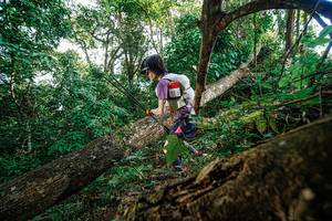 BIB: 
                            <button type="button" onclick="openModal(22778455)" class="btn btn-primary btn-sm float-right btn-popup" data-toggle="modal" data-target=".modal-high-quality">
                        <i class="fas fa-shopping-cart"></i> Add to Cart
                    </button>
                                            <button type="button" onclick="isThisMe(22778455, true)" class="btn btn-success btn-sm float-right btn-popup btn-isme hidden" data-toggle="tooltip" data-placement="bottom" title="นี่คือรูปของคุณใช่ไหม คลิกที่นี่เพื่อเอาเข้าอัลบั้ม">
                        <i class="fas fa-plus"></i> Add to album
                    </button>
                    <button type="button" onclick="isThisMe(22778455, false)" class="btn btn-warning btn-sm float-right btn-popup btn-isnotme hidden">
                        <i class="fas fa-ban"></i> Remove from album
                    </button>