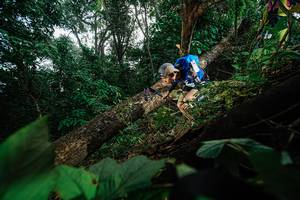 BIB: 
                            <button type="button" onclick="openModal(22776891)" class="btn btn-primary btn-sm float-right btn-popup" data-toggle="modal" data-target=".modal-high-quality">
                        <i class="fas fa-shopping-cart"></i> Add to Cart
                    </button>
                                            <button type="button" onclick="isThisMe(22776891, true)" class="btn btn-success btn-sm float-right btn-popup btn-isme hidden" data-toggle="tooltip" data-placement="bottom" title="นี่คือรูปของคุณใช่ไหม คลิกที่นี่เพื่อเอาเข้าอัลบั้ม">
                        <i class="fas fa-plus"></i> Add to album
                    </button>
                    <button type="button" onclick="isThisMe(22776891, false)" class="btn btn-warning btn-sm float-right btn-popup btn-isnotme hidden">
                        <i class="fas fa-ban"></i> Remove from album
                    </button>