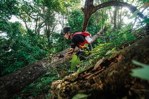 BIB: 
                            <button type="button" onclick="openModal(22778179)" class="btn btn-primary btn-sm float-right btn-popup" data-toggle="modal" data-target=".modal-high-quality">
                        <i class="fas fa-shopping-cart"></i> Add to Cart
                    </button>
                                            <button type="button" onclick="isThisMe(22778179, true)" class="btn btn-success btn-sm float-right btn-popup btn-isme hidden" data-toggle="tooltip" data-placement="bottom" title="นี่คือรูปของคุณใช่ไหม คลิกที่นี่เพื่อเอาเข้าอัลบั้ม">
                        <i class="fas fa-plus"></i> Add to album
                    </button>
                    <button type="button" onclick="isThisMe(22778179, false)" class="btn btn-warning btn-sm float-right btn-popup btn-isnotme hidden">
                        <i class="fas fa-ban"></i> Remove from album
                    </button>