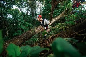 BIB: 
                            <button type="button" onclick="openModal(22777239)" class="btn btn-primary btn-sm float-right btn-popup" data-toggle="modal" data-target=".modal-high-quality">
                        <i class="fas fa-shopping-cart"></i> Add to Cart
                    </button>
                                            <button type="button" onclick="isThisMe(22777239, true)" class="btn btn-success btn-sm float-right btn-popup btn-isme hidden" data-toggle="tooltip" data-placement="bottom" title="นี่คือรูปของคุณใช่ไหม คลิกที่นี่เพื่อเอาเข้าอัลบั้ม">
                        <i class="fas fa-plus"></i> Add to album
                    </button>
                    <button type="button" onclick="isThisMe(22777239, false)" class="btn btn-warning btn-sm float-right btn-popup btn-isnotme hidden">
                        <i class="fas fa-ban"></i> Remove from album
                    </button>