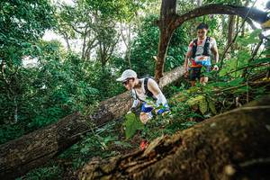 BIB: 
                            <button type="button" onclick="openModal(22778572)" class="btn btn-primary btn-sm float-right btn-popup" data-toggle="modal" data-target=".modal-high-quality">
                        <i class="fas fa-shopping-cart"></i> Add to Cart
                    </button>
                                            <button type="button" onclick="isThisMe(22778572, true)" class="btn btn-success btn-sm float-right btn-popup btn-isme hidden" data-toggle="tooltip" data-placement="bottom" title="นี่คือรูปของคุณใช่ไหม คลิกที่นี่เพื่อเอาเข้าอัลบั้ม">
                        <i class="fas fa-plus"></i> Add to album
                    </button>
                    <button type="button" onclick="isThisMe(22778572, false)" class="btn btn-warning btn-sm float-right btn-popup btn-isnotme hidden">
                        <i class="fas fa-ban"></i> Remove from album
                    </button>