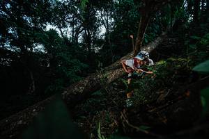 BIB: 
                            <button type="button" onclick="openModal(22775139)" class="btn btn-primary btn-sm float-right btn-popup" data-toggle="modal" data-target=".modal-high-quality">
                        <i class="fas fa-shopping-cart"></i> Add to Cart
                    </button>
                                            <button type="button" onclick="isThisMe(22775139, true)" class="btn btn-success btn-sm float-right btn-popup btn-isme hidden" data-toggle="tooltip" data-placement="bottom" title="นี่คือรูปของคุณใช่ไหม คลิกที่นี่เพื่อเอาเข้าอัลบั้ม">
                        <i class="fas fa-plus"></i> Add to album
                    </button>
                    <button type="button" onclick="isThisMe(22775139, false)" class="btn btn-warning btn-sm float-right btn-popup btn-isnotme hidden">
                        <i class="fas fa-ban"></i> Remove from album
                    </button>