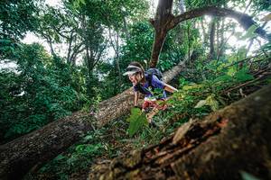 BIB: 
                            <button type="button" onclick="openModal(22778117)" class="btn btn-primary btn-sm float-right btn-popup" data-toggle="modal" data-target=".modal-high-quality">
                        <i class="fas fa-shopping-cart"></i> Add to Cart
                    </button>
                                            <button type="button" onclick="isThisMe(22778117, true)" class="btn btn-success btn-sm float-right btn-popup btn-isme hidden" data-toggle="tooltip" data-placement="bottom" title="นี่คือรูปของคุณใช่ไหม คลิกที่นี่เพื่อเอาเข้าอัลบั้ม">
                        <i class="fas fa-plus"></i> Add to album
                    </button>
                    <button type="button" onclick="isThisMe(22778117, false)" class="btn btn-warning btn-sm float-right btn-popup btn-isnotme hidden">
                        <i class="fas fa-ban"></i> Remove from album
                    </button>