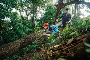 BIB: 
                            <button type="button" onclick="openModal(22777679)" class="btn btn-primary btn-sm float-right btn-popup" data-toggle="modal" data-target=".modal-high-quality">
                        <i class="fas fa-shopping-cart"></i> Add to Cart
                    </button>
                                            <button type="button" onclick="isThisMe(22777679, true)" class="btn btn-success btn-sm float-right btn-popup btn-isme hidden" data-toggle="tooltip" data-placement="bottom" title="นี่คือรูปของคุณใช่ไหม คลิกที่นี่เพื่อเอาเข้าอัลบั้ม">
                        <i class="fas fa-plus"></i> Add to album
                    </button>
                    <button type="button" onclick="isThisMe(22777679, false)" class="btn btn-warning btn-sm float-right btn-popup btn-isnotme hidden">
                        <i class="fas fa-ban"></i> Remove from album
                    </button>