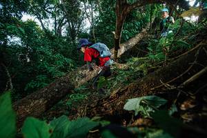 BIB: 
                            <button type="button" onclick="openModal(22777169)" class="btn btn-primary btn-sm float-right btn-popup" data-toggle="modal" data-target=".modal-high-quality">
                        <i class="fas fa-shopping-cart"></i> Add to Cart
                    </button>
                                            <button type="button" onclick="isThisMe(22777169, true)" class="btn btn-success btn-sm float-right btn-popup btn-isme hidden" data-toggle="tooltip" data-placement="bottom" title="นี่คือรูปของคุณใช่ไหม คลิกที่นี่เพื่อเอาเข้าอัลบั้ม">
                        <i class="fas fa-plus"></i> Add to album
                    </button>
                    <button type="button" onclick="isThisMe(22777169, false)" class="btn btn-warning btn-sm float-right btn-popup btn-isnotme hidden">
                        <i class="fas fa-ban"></i> Remove from album
                    </button>