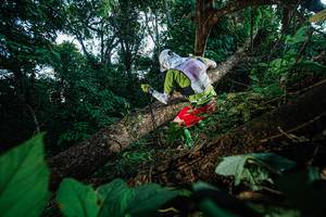 BIB: 
                            <button type="button" onclick="openModal(22777034)" class="btn btn-primary btn-sm float-right btn-popup" data-toggle="modal" data-target=".modal-high-quality">
                        <i class="fas fa-shopping-cart"></i> Add to Cart
                    </button>
                                            <button type="button" onclick="isThisMe(22777034, true)" class="btn btn-success btn-sm float-right btn-popup btn-isme hidden" data-toggle="tooltip" data-placement="bottom" title="นี่คือรูปของคุณใช่ไหม คลิกที่นี่เพื่อเอาเข้าอัลบั้ม">
                        <i class="fas fa-plus"></i> Add to album
                    </button>
                    <button type="button" onclick="isThisMe(22777034, false)" class="btn btn-warning btn-sm float-right btn-popup btn-isnotme hidden">
                        <i class="fas fa-ban"></i> Remove from album
                    </button>