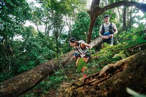 BIB: 
                            <button type="button" onclick="openModal(22778008)" class="btn btn-primary btn-sm float-right btn-popup" data-toggle="modal" data-target=".modal-high-quality">
                        <i class="fas fa-shopping-cart"></i> Add to Cart
                    </button>
                                            <button type="button" onclick="isThisMe(22778008, true)" class="btn btn-success btn-sm float-right btn-popup btn-isme hidden" data-toggle="tooltip" data-placement="bottom" title="นี่คือรูปของคุณใช่ไหม คลิกที่นี่เพื่อเอาเข้าอัลบั้ม">
                        <i class="fas fa-plus"></i> Add to album
                    </button>
                    <button type="button" onclick="isThisMe(22778008, false)" class="btn btn-warning btn-sm float-right btn-popup btn-isnotme hidden">
                        <i class="fas fa-ban"></i> Remove from album
                    </button>