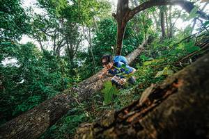 BIB: 
                            <button type="button" onclick="openModal(22778298)" class="btn btn-primary btn-sm float-right btn-popup" data-toggle="modal" data-target=".modal-high-quality">
                        <i class="fas fa-shopping-cart"></i> Add to Cart
                    </button>
                                            <button type="button" onclick="isThisMe(22778298, true)" class="btn btn-success btn-sm float-right btn-popup btn-isme hidden" data-toggle="tooltip" data-placement="bottom" title="นี่คือรูปของคุณใช่ไหม คลิกที่นี่เพื่อเอาเข้าอัลบั้ม">
                        <i class="fas fa-plus"></i> Add to album
                    </button>
                    <button type="button" onclick="isThisMe(22778298, false)" class="btn btn-warning btn-sm float-right btn-popup btn-isnotme hidden">
                        <i class="fas fa-ban"></i> Remove from album
                    </button>