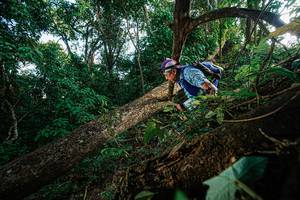 BIB: 
                            <button type="button" onclick="openModal(22777430)" class="btn btn-primary btn-sm float-right btn-popup" data-toggle="modal" data-target=".modal-high-quality">
                        <i class="fas fa-shopping-cart"></i> Add to Cart
                    </button>
                                            <button type="button" onclick="isThisMe(22777430, true)" class="btn btn-success btn-sm float-right btn-popup btn-isme hidden" data-toggle="tooltip" data-placement="bottom" title="นี่คือรูปของคุณใช่ไหม คลิกที่นี่เพื่อเอาเข้าอัลบั้ม">
                        <i class="fas fa-plus"></i> Add to album
                    </button>
                    <button type="button" onclick="isThisMe(22777430, false)" class="btn btn-warning btn-sm float-right btn-popup btn-isnotme hidden">
                        <i class="fas fa-ban"></i> Remove from album
                    </button>