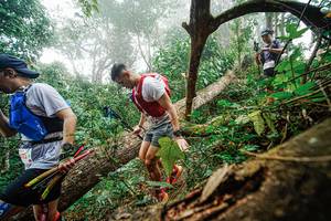 BIB: 122
                            <button type="button" onclick="openModal(22779222)" class="btn btn-primary btn-sm float-right btn-popup" data-toggle="modal" data-target=".modal-high-quality">
                        <i class="fas fa-shopping-cart"></i> Add to Cart
                    </button>
                                            <button type="button" onclick="isThisMe(22779222, true)" class="btn btn-success btn-sm float-right btn-popup btn-isme hidden" data-toggle="tooltip" data-placement="bottom" title="นี่คือรูปของคุณใช่ไหม คลิกที่นี่เพื่อเอาเข้าอัลบั้ม">
                        <i class="fas fa-plus"></i> Add to album
                    </button>
                    <button type="button" onclick="isThisMe(22779222, false)" class="btn btn-warning btn-sm float-right btn-popup btn-isnotme hidden">
                        <i class="fas fa-ban"></i> Remove from album
                    </button>