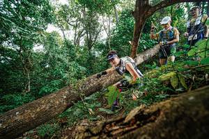 BIB: 
                            <button type="button" onclick="openModal(22778519)" class="btn btn-primary btn-sm float-right btn-popup" data-toggle="modal" data-target=".modal-high-quality">
                        <i class="fas fa-shopping-cart"></i> Add to Cart
                    </button>
                                            <button type="button" onclick="isThisMe(22778519, true)" class="btn btn-success btn-sm float-right btn-popup btn-isme hidden" data-toggle="tooltip" data-placement="bottom" title="นี่คือรูปของคุณใช่ไหม คลิกที่นี่เพื่อเอาเข้าอัลบั้ม">
                        <i class="fas fa-plus"></i> Add to album
                    </button>
                    <button type="button" onclick="isThisMe(22778519, false)" class="btn btn-warning btn-sm float-right btn-popup btn-isnotme hidden">
                        <i class="fas fa-ban"></i> Remove from album
                    </button>