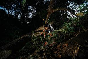 BIB: 
                            <button type="button" onclick="openModal(22774558)" class="btn btn-primary btn-sm float-right btn-popup" data-toggle="modal" data-target=".modal-high-quality">
                        <i class="fas fa-shopping-cart"></i> Add to Cart
                    </button>
                                            <button type="button" onclick="isThisMe(22774558, true)" class="btn btn-success btn-sm float-right btn-popup btn-isme hidden" data-toggle="tooltip" data-placement="bottom" title="นี่คือรูปของคุณใช่ไหม คลิกที่นี่เพื่อเอาเข้าอัลบั้ม">
                        <i class="fas fa-plus"></i> Add to album
                    </button>
                    <button type="button" onclick="isThisMe(22774558, false)" class="btn btn-warning btn-sm float-right btn-popup btn-isnotme hidden">
                        <i class="fas fa-ban"></i> Remove from album
                    </button>