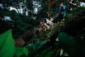 BIB: 
                            <button type="button" onclick="openModal(22775328)" class="btn btn-primary btn-sm float-right btn-popup" data-toggle="modal" data-target=".modal-high-quality">
                        <i class="fas fa-shopping-cart"></i> Add to Cart
                    </button>
                                            <button type="button" onclick="isThisMe(22775328, true)" class="btn btn-success btn-sm float-right btn-popup btn-isme hidden" data-toggle="tooltip" data-placement="bottom" title="นี่คือรูปของคุณใช่ไหม คลิกที่นี่เพื่อเอาเข้าอัลบั้ม">
                        <i class="fas fa-plus"></i> Add to album
                    </button>
                    <button type="button" onclick="isThisMe(22775328, false)" class="btn btn-warning btn-sm float-right btn-popup btn-isnotme hidden">
                        <i class="fas fa-ban"></i> Remove from album
                    </button>