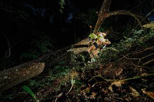 BIB: 
                            <button type="button" onclick="openModal(22774365)" class="btn btn-primary btn-sm float-right btn-popup" data-toggle="modal" data-target=".modal-high-quality">
                        <i class="fas fa-shopping-cart"></i> Add to Cart
                    </button>
                                            <button type="button" onclick="isThisMe(22774365, true)" class="btn btn-success btn-sm float-right btn-popup btn-isme hidden" data-toggle="tooltip" data-placement="bottom" title="นี่คือรูปของคุณใช่ไหม คลิกที่นี่เพื่อเอาเข้าอัลบั้ม">
                        <i class="fas fa-plus"></i> Add to album
                    </button>
                    <button type="button" onclick="isThisMe(22774365, false)" class="btn btn-warning btn-sm float-right btn-popup btn-isnotme hidden">
                        <i class="fas fa-ban"></i> Remove from album
                    </button>