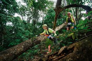 BIB: 
                            <button type="button" onclick="openModal(22778678)" class="btn btn-primary btn-sm float-right btn-popup" data-toggle="modal" data-target=".modal-high-quality">
                        <i class="fas fa-shopping-cart"></i> Add to Cart
                    </button>
                                            <button type="button" onclick="isThisMe(22778678, true)" class="btn btn-success btn-sm float-right btn-popup btn-isme hidden" data-toggle="tooltip" data-placement="bottom" title="นี่คือรูปของคุณใช่ไหม คลิกที่นี่เพื่อเอาเข้าอัลบั้ม">
                        <i class="fas fa-plus"></i> Add to album
                    </button>
                    <button type="button" onclick="isThisMe(22778678, false)" class="btn btn-warning btn-sm float-right btn-popup btn-isnotme hidden">
                        <i class="fas fa-ban"></i> Remove from album
                    </button>